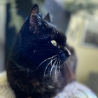 Profilbild für Jeannie H
