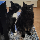 Profilbild für Elena B