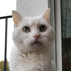 Profilbild für Amy B