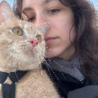 Profilbild für Marie N