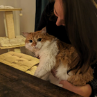 Profilbild für Olivia L