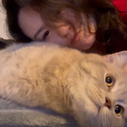 Profilbild für Xin Y