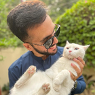 Avatar for Hammad B