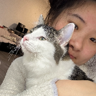 Profilbild für Xueyan B