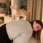 Profilbild für Livia Z