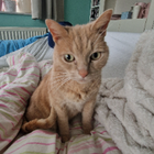 Profilbild für Nadine D