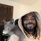 Avatar for Ibraheem (Jay) h