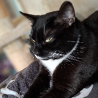 Profilbild für Cornelia L