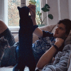 Profilbild für Anton K