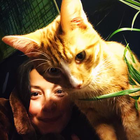 Profielfoto voor Raluca T