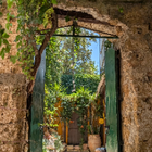 Profilbild für Ti m