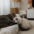 Profilbild für Natalie G