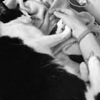 Profilbild für Michaela T