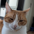 Profilbild für Maria R. M