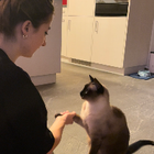 Profilbild für Larissa H