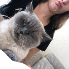 Profilbild für Lydia H