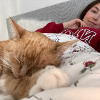 Profilbild für Lyn E