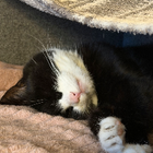 Avatar for Caitlin F