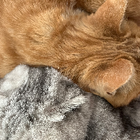 Avatar for Xiaohan (Emily) L