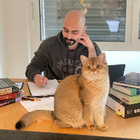 Profilbild für Shayan H