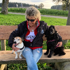 Profilbild für Postizzi C