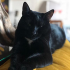 Profielfoto voor Luz M