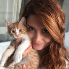 Profilbild für Tugce Y