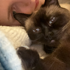 Profilbild für Jessica J