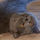 Profilbild für Martina v