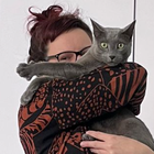 Profilbild für Stefanie K
