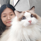 Profilbild für anran l