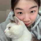 Profilbild für Yuan Y