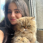 Profilbild für Ayla A