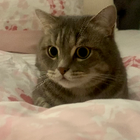 Profilbild für Yasmina B