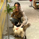 Profilbild für Analena B