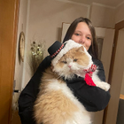 Profilbild für Hanna H