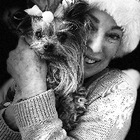 Avatar for Angela v