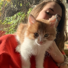Profilbild für Franka H