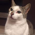 Profilbild für Aaron W