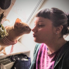 Profilbild für Tamara V
