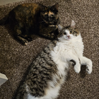 Avatar for Ruta (Ruth) M