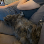 Profielfoto voor Emilie C