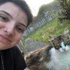 Profilbild für Nisa Y