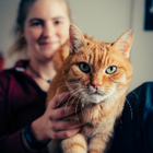 Profilbild für Lydia B