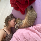 Profilbild für Lena H