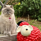 Profilbild für Jessica T