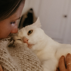Profilbild für Julia K