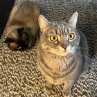 Profilbild für Suska G