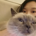 Profilbild für Yujun H