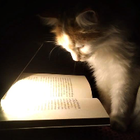 Profilbild für Liana M